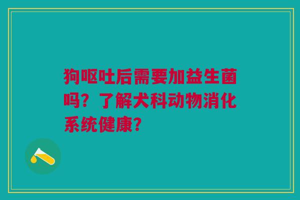 狗后需要加益生菌吗?了解犬科动物消化系统健康? 狗后需要加益生菌吗?了解犬科动物消化系统健康?