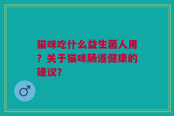 猫咪吃什么益生菌人用?关于猫咪肠道健康的建议?