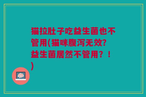 猫拉肚子吃益生菌也不管用(猫咪腹泻无效?益生菌居然不管用?!)