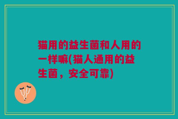 猫用的益生菌和人用的一样嘛(猫人通用的益生菌,安全可靠)