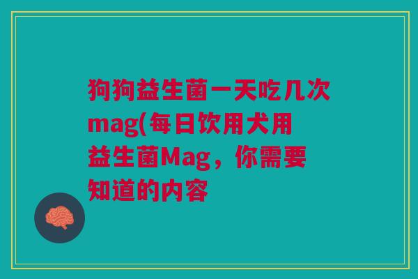 狗狗益生菌一天吃几次mag(每日饮用犬用益生菌Mag,你需要知道的内容