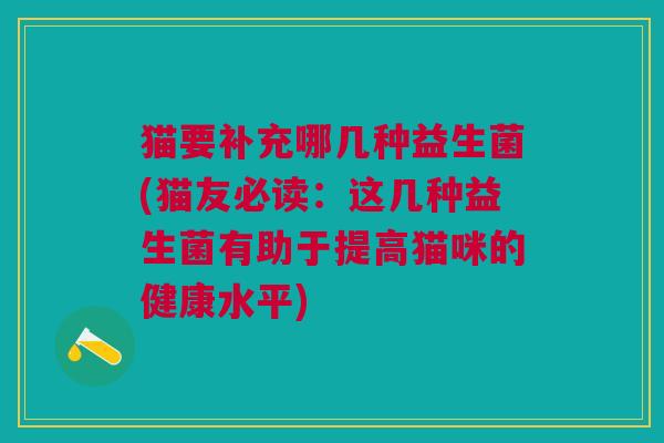 猫要补充哪几种益生菌(猫友必读:这几种益生菌有助于提高猫咪的健康水平)