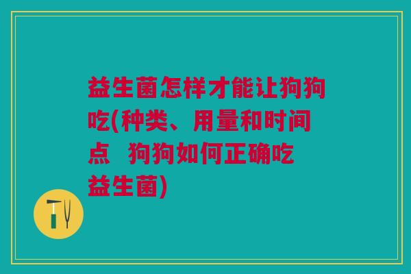 益生菌怎样才能让狗狗吃(种类、用量和时间点 狗狗如何正确吃益生菌)