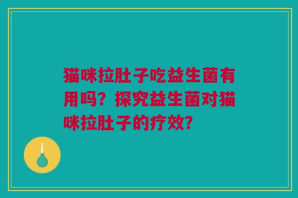 猫咪拉肚子吃益生菌有用吗?探究益生菌对猫咪拉肚子的疗效?