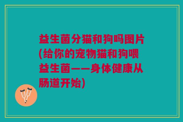 益生菌分猫和狗吗图片(给你的宠物猫和狗喂益生菌——身体健康从肠道开始)