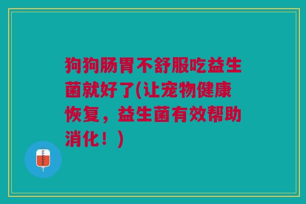 狗狗肠胃不舒服吃益生菌就好了(让宠物健康恢复,益生菌有效帮助消化!)