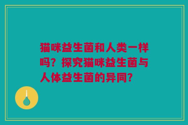 猫咪益生菌和人类一样吗?探究猫咪益生菌与人体益生菌的异同?