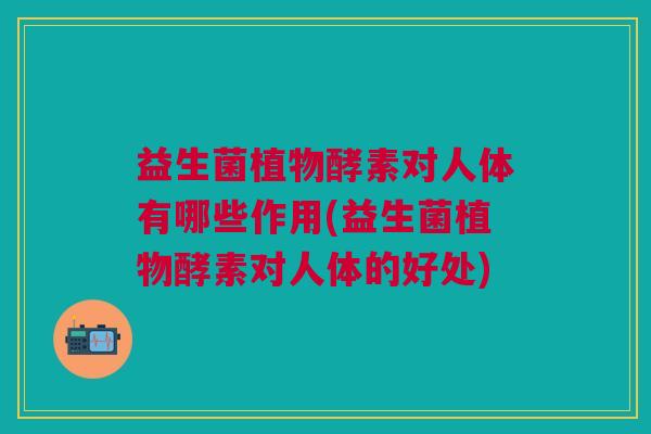 益生菌植物酵素对人体有哪些作用(益生菌植物酵素对人体的好处)