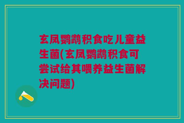 玄凤鹦鹉积食吃儿童益生菌(玄凤鹦鹉积食可尝试给其喂养益生菌解决问题)