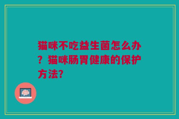 猫咪不吃益生菌怎么办?猫咪肠胃健康的保护方法?