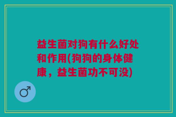 益生菌对狗有什么好处和作用(狗狗的身体健康,益生菌功不可没)