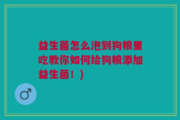 益生菌怎么泡到狗粮里吃教你如何给狗粮添加益生菌!)