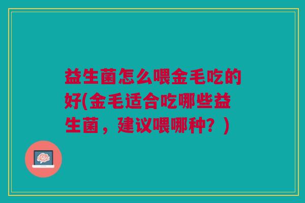 益生菌怎么喂金毛吃的好(金毛适合吃哪些益生菌，建议喂哪种？)
