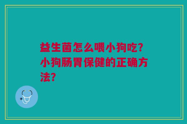 益生菌怎么喂小狗吃?小狗肠胃保健的正确方法?