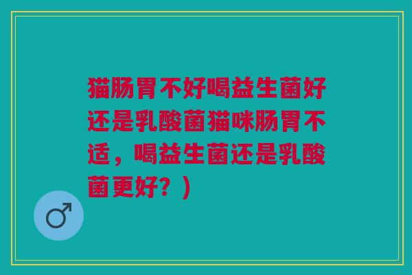 猫肠胃不好喝益生菌好还是乳酸菌猫咪肠胃不适,喝益生菌还是乳酸菌更好?)