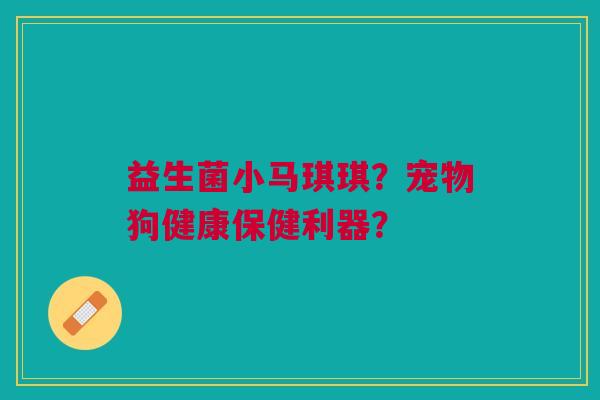 益生菌小马琪琪?宠物狗健康保健利器? 益生菌小马琪琪?宠物狗健康保健利器?