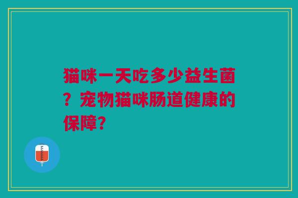 猫咪一天吃多少益生菌?宠物猫咪肠道健康的保障?