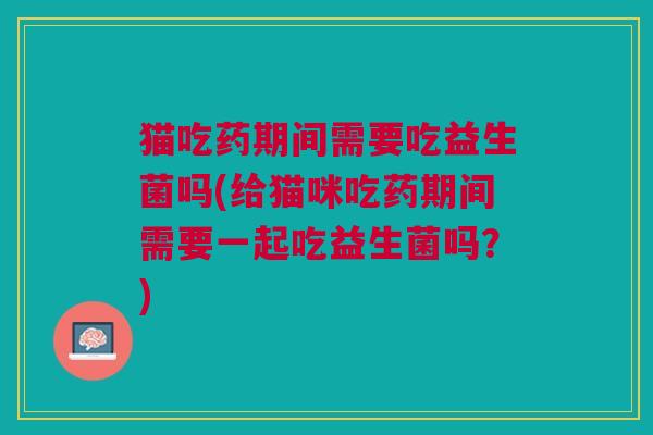 猫吃药期间需要吃益生菌吗(给猫咪吃药期间需要一起吃益生菌吗?)