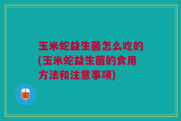 玉米蛇益生菌怎么吃的(玉米蛇益生菌的食用方法和注意事项) 玉米蛇益生菌怎么吃的(玉米蛇益生菌的食用方法和注意事项)