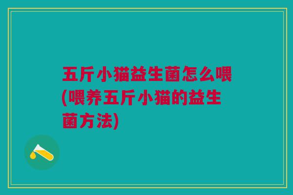 五斤小猫益生菌怎么喂(喂养五斤小猫的益生菌方法)