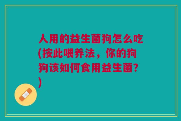 人用的益生菌狗怎么吃(按此喂养法,你的狗狗该如何食用益生菌?)