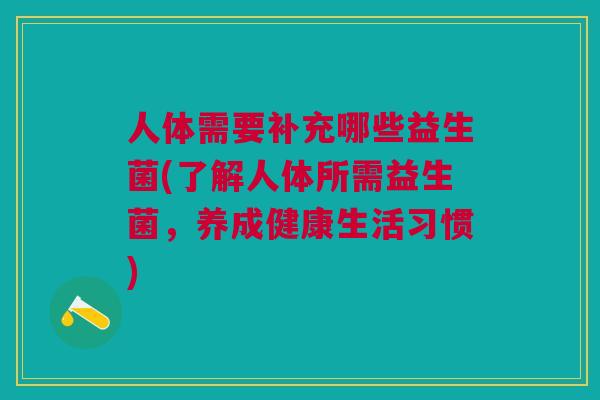 人体需要补充哪些益生菌(了解人体所需益生菌,养成健康生活习惯)