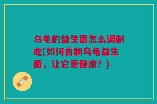 乌龟的益生菌怎么调制吃(如何自制乌龟益生菌,让它更健康?)