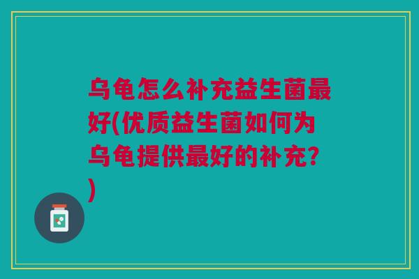 乌龟怎么补充益生菌最好(优质益生菌如何为乌龟提供最好的补充?)