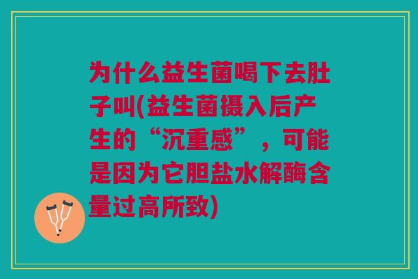 为什么益生菌喝下去肚子叫(益生菌摄入后产生的“沉重感”,可能是因为它胆盐水解酶含量过高所致)