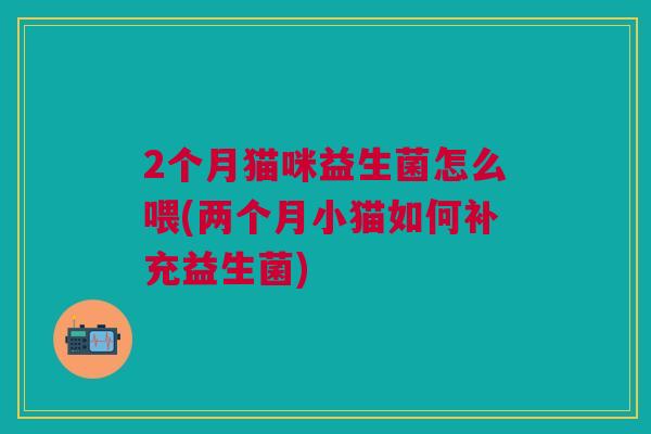 2个月猫咪益生菌怎么喂(两个月小猫如何补充益生菌)