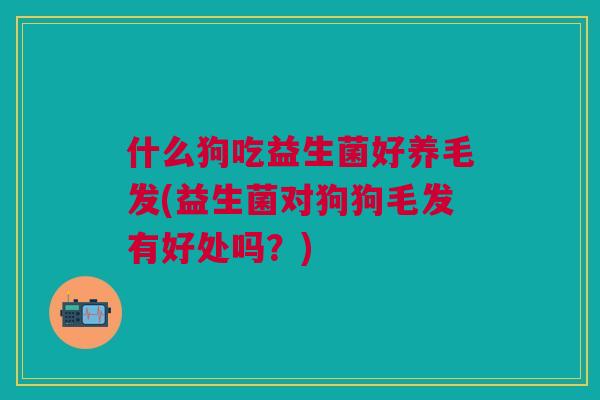 什么狗吃益生菌好养毛发(益生菌对狗狗毛发有好处吗？)