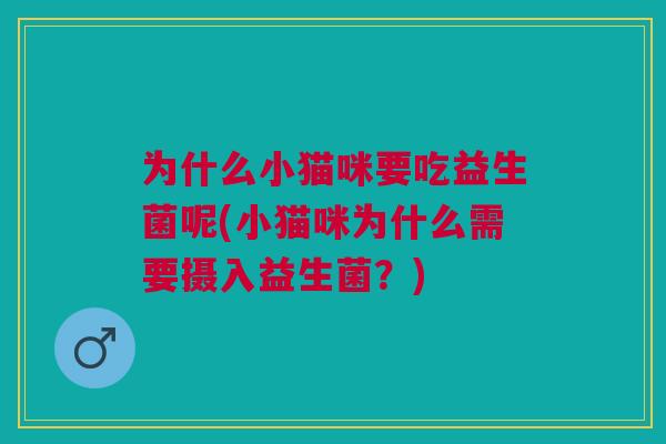 为什么小猫咪要吃益生菌呢(小猫咪为什么需要摄入益生菌?)