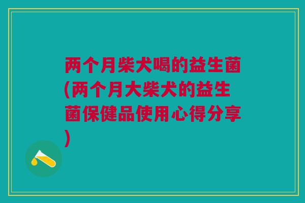 两个月柴犬喝的益生菌(两个月大柴犬的益生菌保健品使用心得分享) 两个月柴犬喝的益生菌(两个月大柴犬的益生菌保健品使用心得分享)