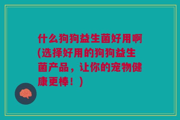 什么狗狗益生菌好用啊(选择好用的狗狗益生菌产品,让你的宠物健康更棒!) 什么狗狗益生菌好用啊(选择好用的狗狗益生菌产品,让你的宠物健康更棒!)