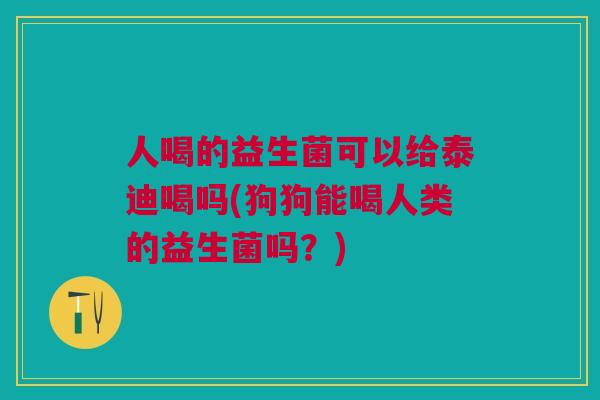 人喝的益生菌可以给泰迪喝吗(狗狗能喝人类的益生菌吗?) 人喝的益生菌可以给泰迪喝吗(狗狗能喝人类的益生菌吗?)