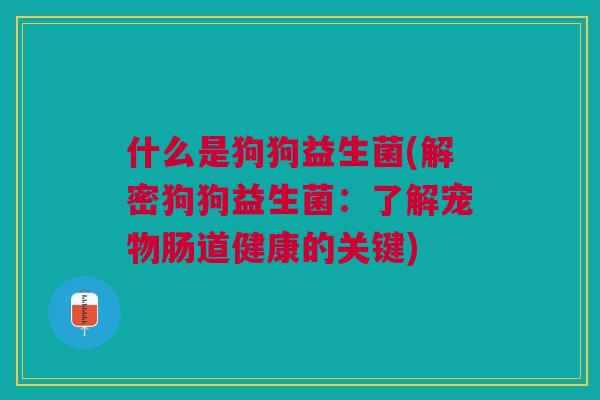 什么是狗狗益生菌(解密狗狗益生菌:了解宠物肠道健康的关键)