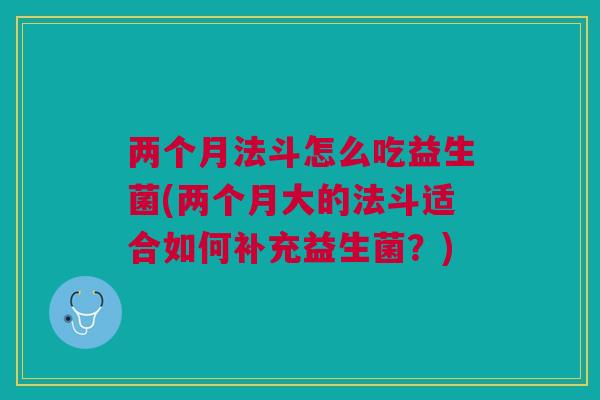 两个月法斗怎么吃益生菌(两个月大的法斗适合如何补充益生菌?)