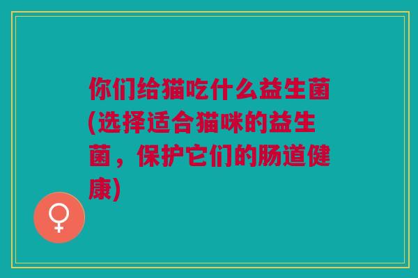 你们给猫吃什么益生菌(选择适合猫咪的益生菌,保护它们的肠道健康)