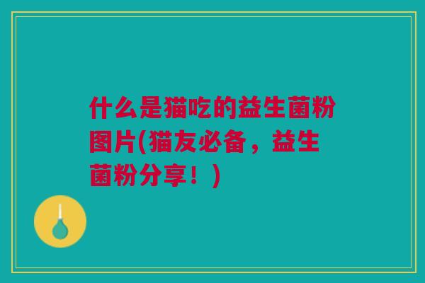 什么是猫吃的益生菌粉图片(猫友必备,益生菌粉分享!) 什么是猫吃的益生菌粉图片(猫友必备,益生菌粉分享!)