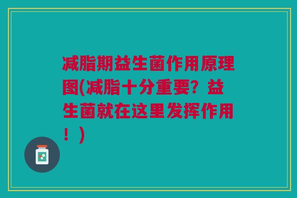 减脂期益生菌作用原理图(减脂十分重要?益生菌就在这里发挥作用!) 减脂期益生菌作用原理图(减脂十分重要?益生菌就在这里发挥作用!)