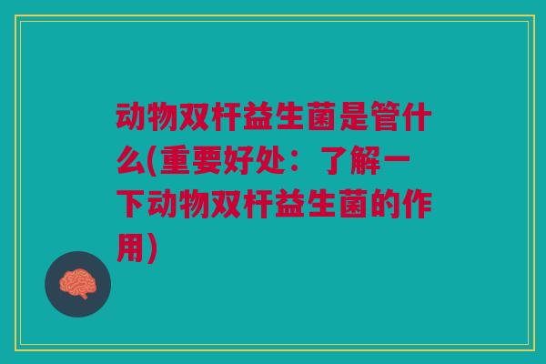动物双杆益生菌是管什么(重要好处:了解一下动物双杆益生菌的作用)