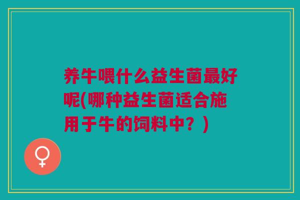 养牛喂什么益生菌最好呢(哪种益生菌适合施用于牛的饲料中?)