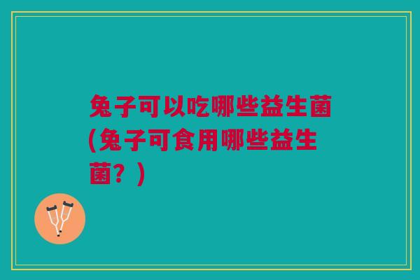 兔子可以吃哪些益生菌(兔子可食用哪些益生菌?) 兔子可以吃哪些益生菌(兔子可食用哪些益生菌?)