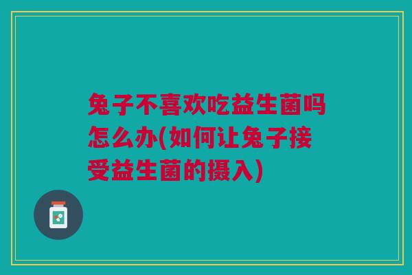 兔子不喜欢吃益生菌吗怎么办(如何让兔子接受益生菌的摄入)