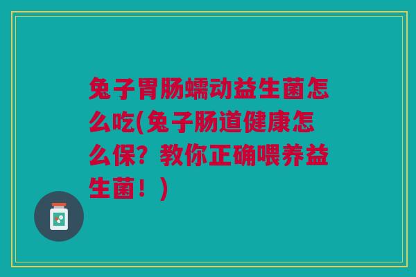 兔子胃肠蠕动益生菌怎么吃(兔子肠道健康怎么保?教你正确喂养益生菌!)
