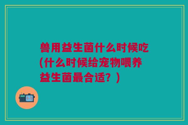 兽用益生菌什么时候吃(什么时候给宠物喂养益生菌最合适?)