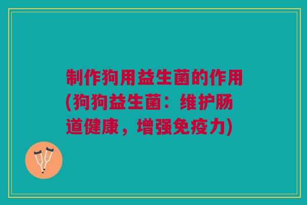 制作狗用益生菌的作用(狗狗益生菌:维护肠道健康,增强免疫力)
