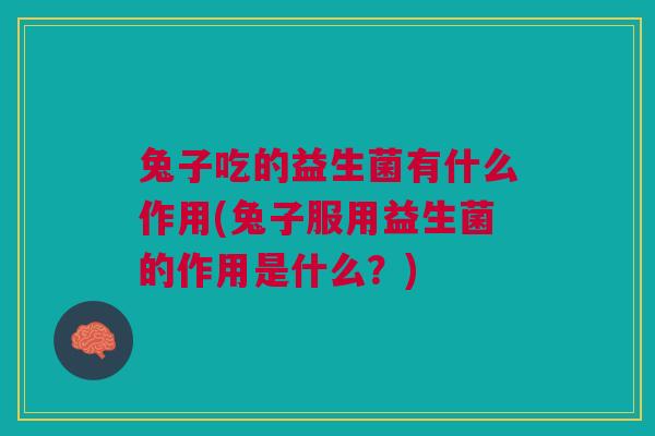 兔子吃的益生菌有什么作用(兔子服用益生菌的作用是什么?)