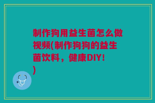 制作狗用益生菌怎么做视频(制作狗狗的益生菌饮料,健康DIY!)