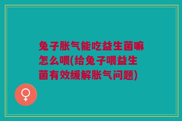 兔子胀气能吃益生菌嘛怎么喂(给兔子喂益生菌有效缓解胀气问题)
